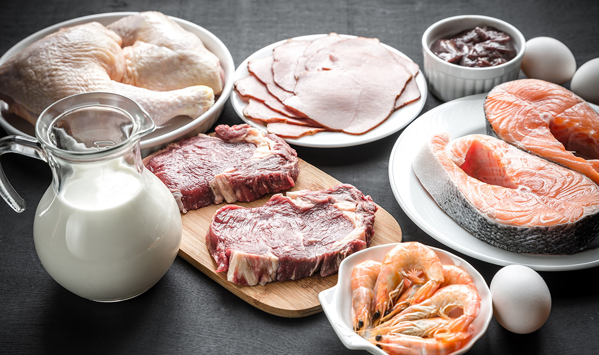 OzonoFonth - Aumenta la vida útil de tus alimentos
